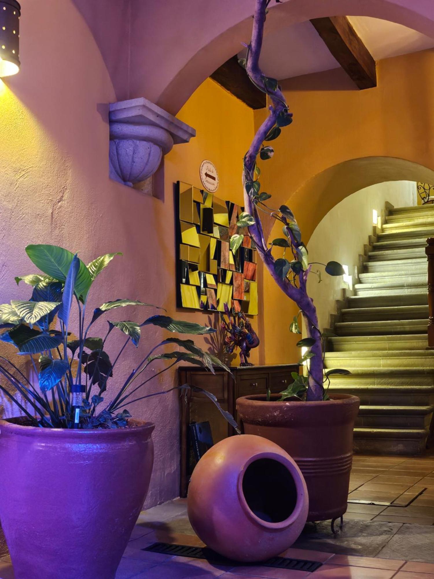 Hotel Casa Divina Oaxaca Kültér fotó
